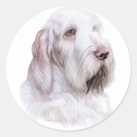 Italiaanse Spinone Italiano Ronde Sticker (Voorkant)