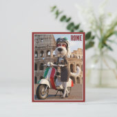 Italiaanse Spinone Rome Briefkaart (Staand voorkant)