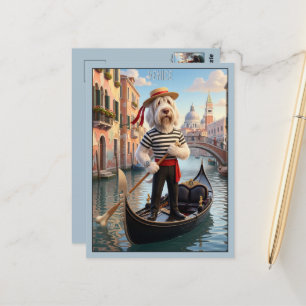 Italiaanse Spinone Venetië Briefkaart