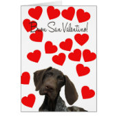 Italiaanse Valentijn San Valentino Glossy Grizzly (Voorkant)