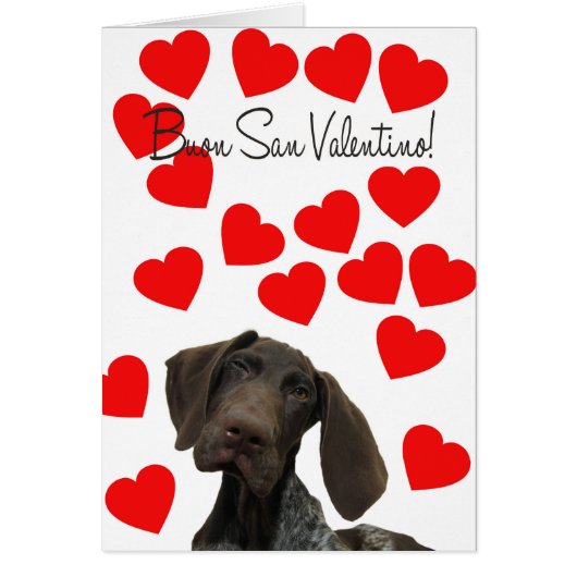 Italiaanse Valentijn San Valentino Glossy Grizzly (Voorkant)