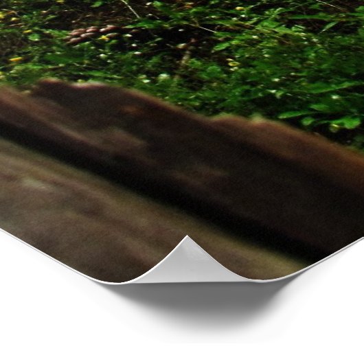 ITALIAANSE VINEYARD POSTER (Hoek)