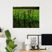 ITALIAANSE VINEYARD POSTER (Thuiskantoor)