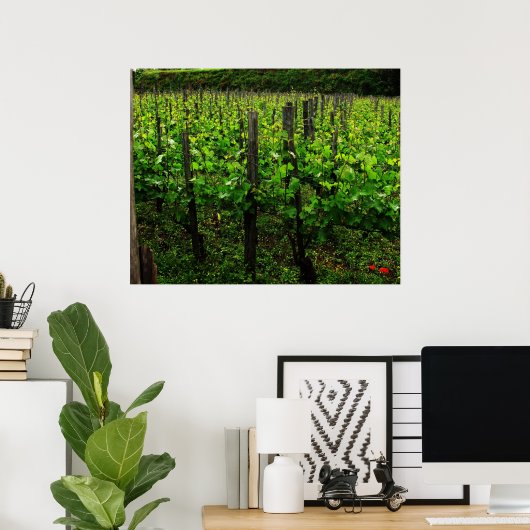 ITALIAANSE VINEYARD POSTER (Thuiskantoor)
