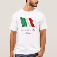 Italiaanse vlag, red een hengst.  Ride een Italiaa