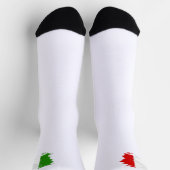 Italiaanse vlag sokken (Top)