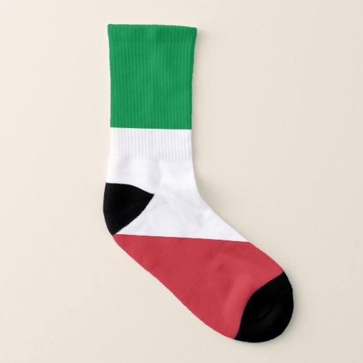 Italiaanse vlag sokken (Rechts - buiten)