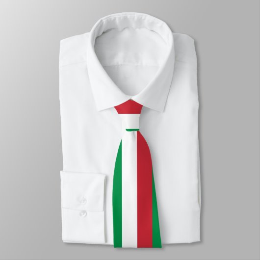 Italiaanse vlag stropdas (Gebonden)