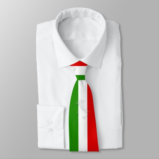 Italiaanse vlag stropdas (Gebonden)