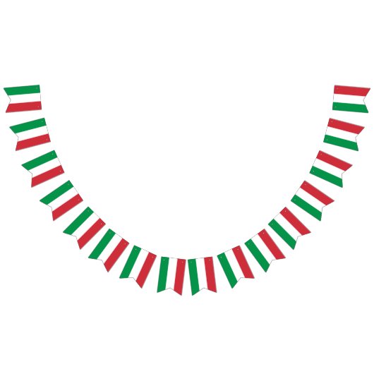 Italiaanse vlag vlaggetjes (Alle)