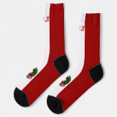 Italiaanse vlaggen sokken (Links)