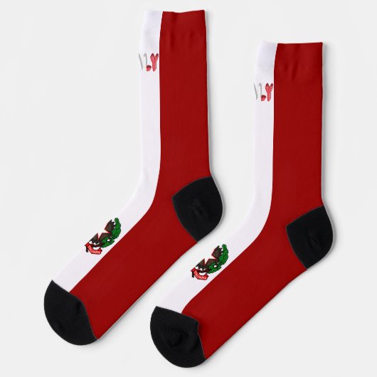 Italiaanse vlaggen sokken (Links)