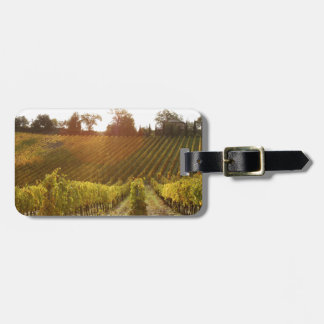 Italiaanse wijngaard in Toscane Bagagelabel