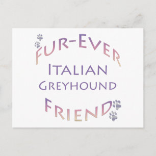 Italiaanse windhond Furever Briefkaart