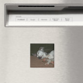 Italiaanse windhond magneet - "Max" (Insitu (Vaatwasser))