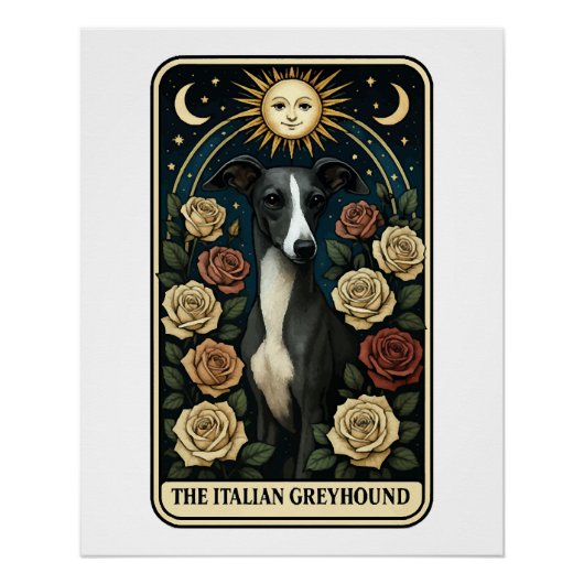 Italiaanse windhond perfect poster (Voorkant)