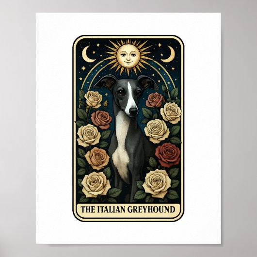 Italiaanse windhond poster (Voorkant)