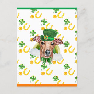 Italiaanse Windhond Shamrock St. Patricks Dag Feestdagenkaart