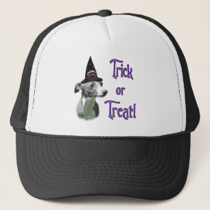 Italiaanse windhond truc trucker pet