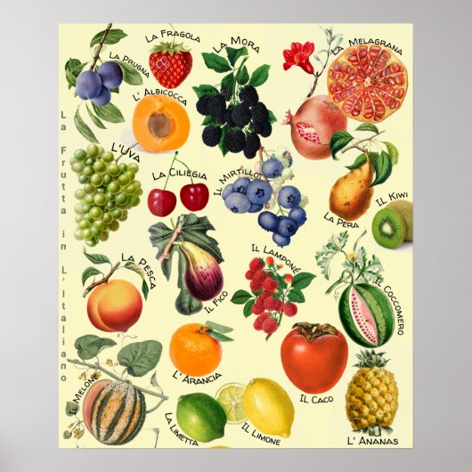 Italian Fruit Language Chart  Poster (Voorkant)