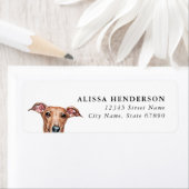 Italian Greyhound Dog Return Address Labels (Insitu)