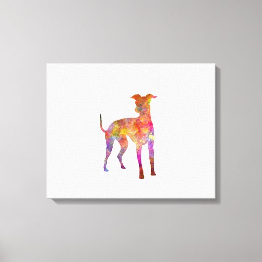 Italian Greyhound in watercolor Canvas Afdruk (Voorkant)