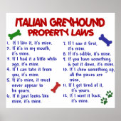 ITALIAN GREYHOUND PL2 POSTER (Voorkant)