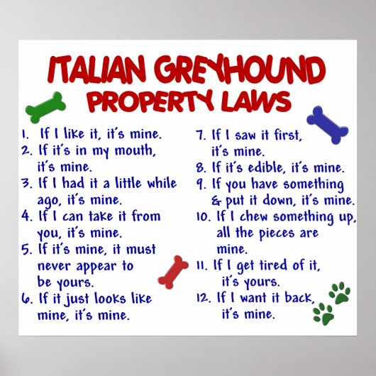 ITALIAN GREYHOUND PL2 POSTER (Voorkant)