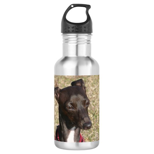 italian greyhound.png waterfles (Voorkant)