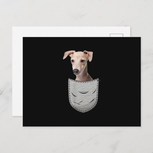 Italian Greyhound Whippet Chest Pocket For Down Aankondigingskaart (Voorkant / Achterkant)