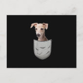 Italian Greyhound Whippet Chest Pocket For Down Aankondigingskaart (Voorkant)