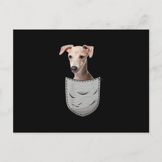Italian Greyhound Whippet Chest Pocket For Down Aankondigingskaart (Voorkant)