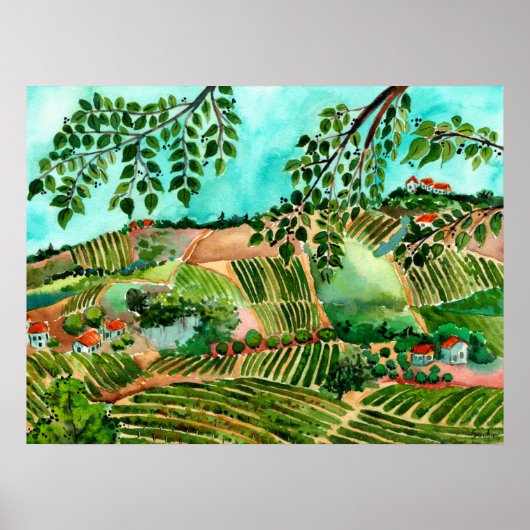 Italian Vineyards Poster (Voorkant)