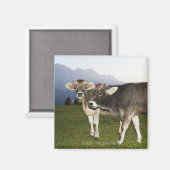 Italië, Alto Adige Magneet (Voorkant / Achterkant)