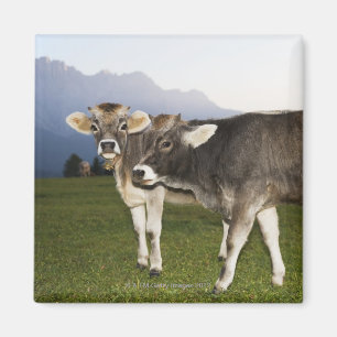 Italië, Alto Adige Magneet