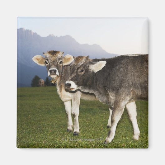 Italië, Alto Adige Magneet (Voorkant)