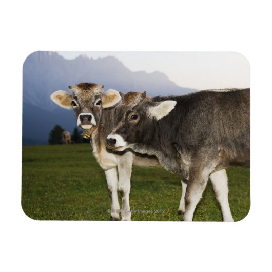 Italië, Alto Adige Magneet (Horizontaal)