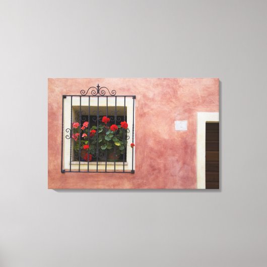 Italië, Asciano, vensterdozen met verse lente Canvas Afdruk (Voorkant)