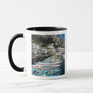 ITALIË, Campania, (Baai van Napels), CAPRI: Marina Mok