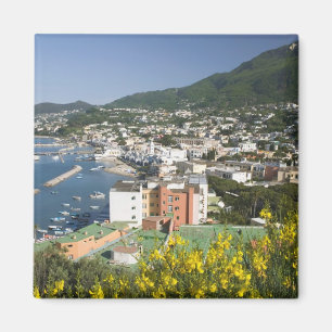 ITALIË, Campania, (Baai van Napels), ISCHIA, LACCO Magneet