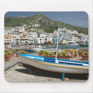 ITALIË, Campania, (Baai van Napels), ISCHIA, Muismat