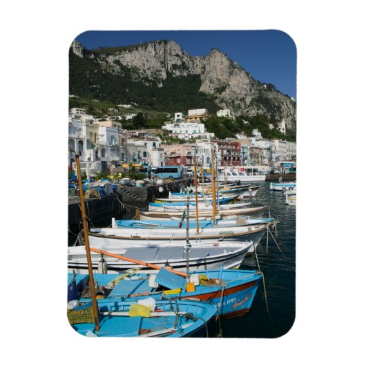 ITALIË, Campanië (Baai van Napels), CAPRI: Marina Magneet (Verticaal)