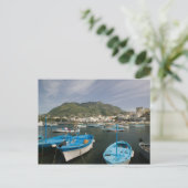 ITALIË, Campanië (Baai van Napels), ISCHIA, FORIO: Briefkaart (Staand voorkant)