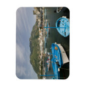 ITALIË, Campanië (Baai van Napels), ISCHIA, FORIO: Magneet (Verticaal)