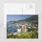 ITALIË, Campanië (Baai van Napels), ISCHIA, LACCO Briefkaart (Voorkant / Achterkant)