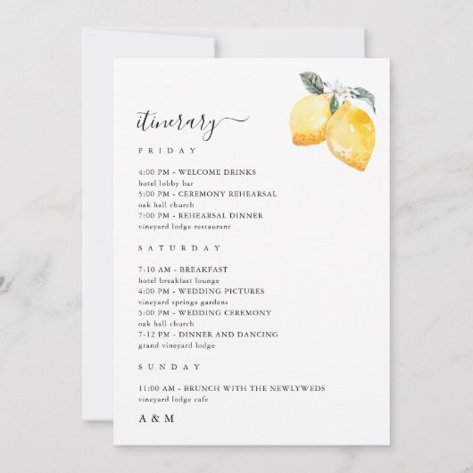 Italië Citroenen Bruiloft Welkomstbrief Itinerariu Kaart (Achterkant)