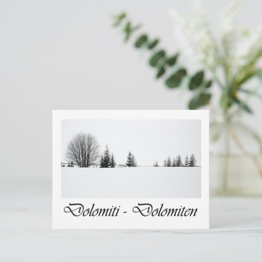 Italië, Dolomieten Briefkaart (Staand voorkant)