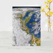 Italië en het Adriatische Zee. Kaart (Gele Bloem)