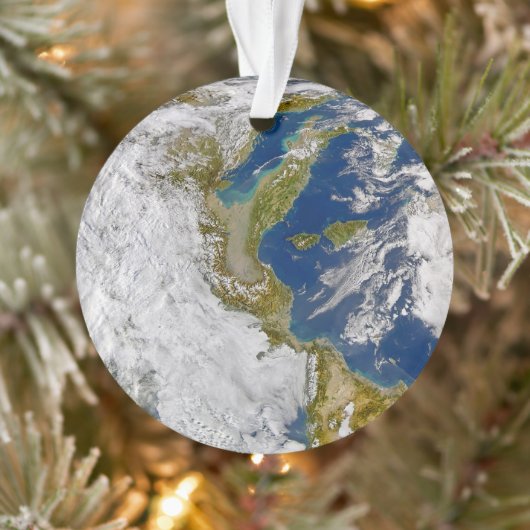 Italië en het Adriatische Zee. Ornament (Boom)