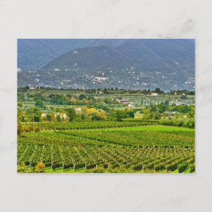 Italië, Gardameer. De oevers van het Gardameer zij Briefkaart